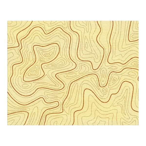 Custom hand-tufted wool area rug featuring topographic map pattern with rust brown contour lines on cream background, 8x10 feet