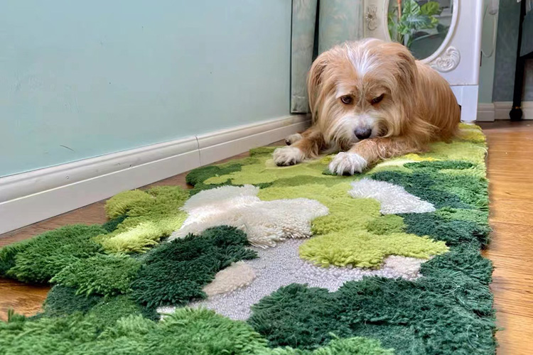 A beautiful dog resting on a custom made hand tufted woolen moss rug with multiple layers of pile height