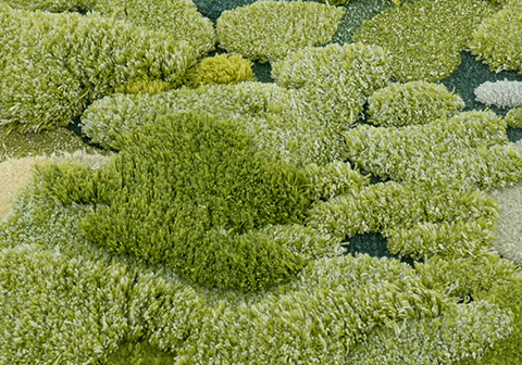 Wool and silk blend tufted rug showing sheen texture with dimensional moss patterns in vibrant spring greens